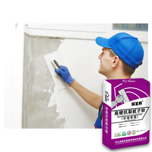 Remplisseur <span class=keywords><strong>de</strong></span> poudre <span class=keywords><strong>de</strong></span> mastic élastique à base d'acrylique pour les fissures et les interstices muraux - Product Image 5