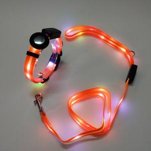 Led Lichte Kraag Usb Nylon Pvc Wrap Tape Nachtlampje Hondenriem En Kraag Set Met Pet Gps Locator - Product Image 1