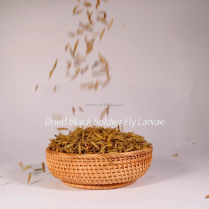Venta al por mayor 100% Natural sin aditivos BSF larvas microondas seco Calci gusano <span class=keywords><strong>comida</strong></span> para mascotas - Product Image 4