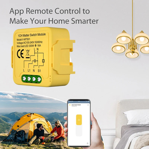 โมดูลสวิตช์รีเลย์ไฟ DIY ODM Matter สวิตช์รีเลย์ไฟทำงานร่วมกับ Apple Home,Siri,Alexa,Google Home, <span class=keywords><strong>smartthings</strong></span>, ewelink - Product Image 5
