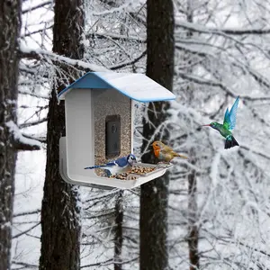 2022 Outdoor Vogel Feeder Met Camera Wifi App Installeren Kennisgeving Slimme Vogel Feeder Huis