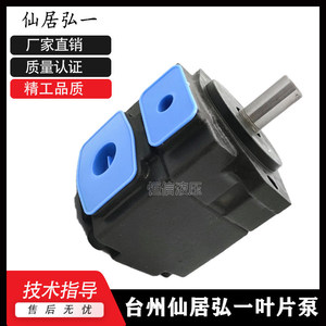 Pompe à aubes HONGYI YB-E160125-L Pompe hydraulique haute pression 160 cm - Product Image 3