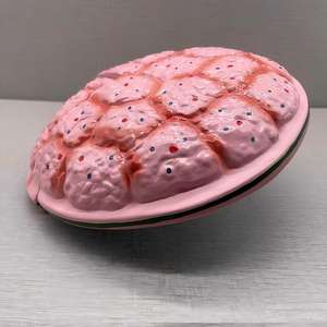 แบบจำลองกายวิภาคของรกมนุษย์และสายสะดือ - เครื่องมือการศึกษาด้านสูติศาสตร์ - Product Image 5