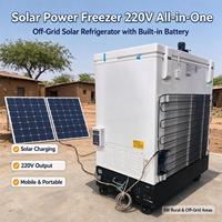 Réfrigérateur-congélateur solaire portable mobile avec panneau et batterie 24V 60Ah Lifepo4 1000W solaire 40A MPPT