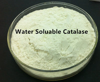 Catalase industrielle multi-usages pour le traitement des textiles, du papier, de l'électronique, des aliments et de l'eau