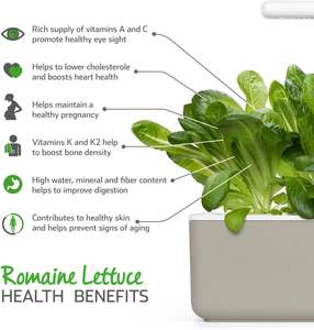 Cliquez sur Grow Design moderne Smart Garden Cosses de plantes de laitue romaine Lot de 3 pots de fleurs verticaux en fibre de jardinage - Product Image 2