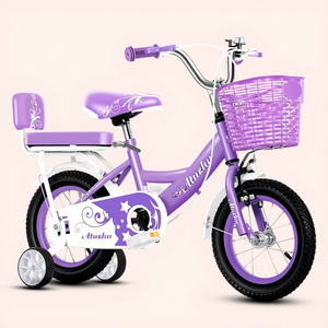 Vélo pour enfants princesse avec roues d'apprentissage, panier avant, porte-bagages arrière, vélo de sécurité pour filles de 3 à 9 ans, vélo de sport en plein air - Product Image 1