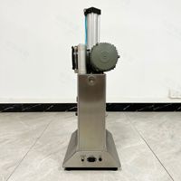 Machine de traitement commerciale de noix de coco éplucheur automatique de noix de coco verte machine commerciale d'épluchage de peau de noix de coco verte