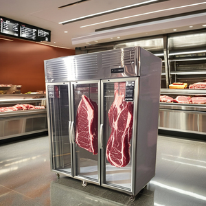 Refrigerador de Carnicero de 2600L para Maduración de Cerdo y Res con Exhibidor Colgante Enfriador de Carne Entera para Tiendas Minoristas Hoteles y Tiendas de Alimentos - Product Image 3