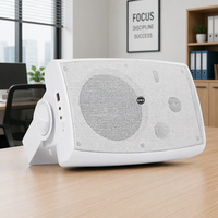 Système de musique d'ambiance mural 100V 40W pour home cinéma, TV, jeux vidéo, bureau, commerce et parcs
