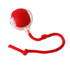 Ballons Intelligents en Promotion pour Animaux de Compagnie : Jouet Interactif Speedy Tail pour le Mouvement et l'Activité des Animaux - Product Image 5