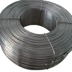 Manufacture Hot Sale D667 200CU Annealed Soft Matt Surface for Nail Making Stainless Steel Wire 1mm
