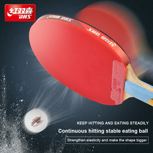 <span class=keywords><strong>Raqueta</strong></span> <span class=keywords><strong>de</strong></span> tenis <span class=keywords><strong>de</strong></span> mesa <span class=keywords><strong>de</strong></span> uso <span class=keywords><strong>de</strong></span> jugador profesional del <span class=keywords><strong>mundo</strong></span> DHS <span class=keywords><strong>de</strong></span> alta calidad - Product Image 4