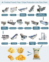 ORME Machine commerciale entièrement automatique à faire des frites croustillantes Machine à frire les frites Machine à frire les frites