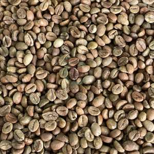 Premium Vietnam Robusta Coffee Beans Tamaño 16 A Plus 95-99% Pureza Natural 60kg Bolsas a granel Suministro de fábrica - Product Image 4