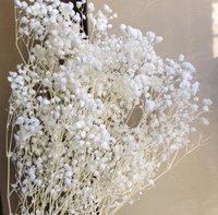 Leuchtend Bunte Getrocknete und Konservierte Gypsophila-Blüten für Weihnachtliche Heimdekoration zum Vorteilspreis