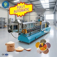 High Quality Twin Screw Instant Artificial Rice Extruder Machine Hot Sale Nutritional Artificial Rice Production Line