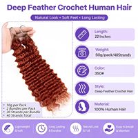 Fournisseur d'usine – Meilleures ventes : Nœuds sans nœuds 350 #   Mèches de cheveux humains en vrac pour tressage, style Deep Wave Feather Crochet, invisibles, style bohème
