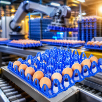 Barquettes en plastique pour œufs de cane, 30 œufs, boîtes d'emballage en plastique pour œufs bruns, barquettes épaissies résistantes aux chocs pour la ferme