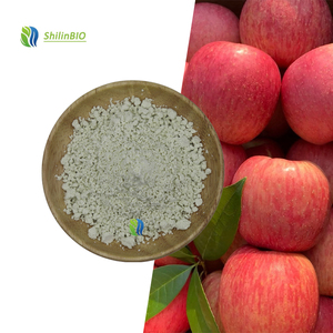 Poudre <span class=keywords><strong>de</strong></span> fibres <span class=keywords><strong>de</strong></span> <span class=keywords><strong>pomme</strong></span> <span class=keywords><strong>de</strong></span> qualité alimentaire SLBIO, extrait d'herbes - Product Image 1