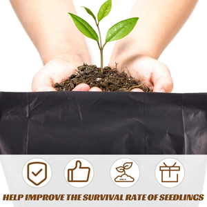 Sacchetti di plastica per piante da vivaio alberello per piante sacco per piante in PE - Product Image 6