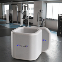 Baignoire Gonflable Portable à Prix d'Usine avec Technologie Drop Stitch, 1 Personne, Quatre Saisons, Bain de Glace Extérieur et Intérieur pour Adultes, Idéale pour le Sport RCY