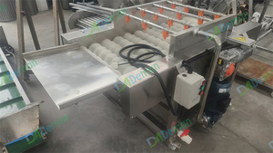 Machine de lavage et de nettoyage à rouleaux pour avocats, feijoa, loquat, cerises, abricots et pêches, prix usine - Product Image 2