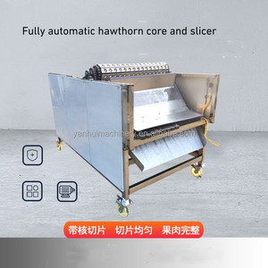 Équipement de traitement de l'acier inoxydable entièrement automatique Nouvelle trancheuse à noyau d'aubépine avec alimentation moteur en équipement de haute technologie - Product Image 3