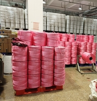 Extrudeuse de fil de raphia en film PP à haute productivité et à économie d'énergie, moteur de pompe pour la fabrication de cordes en filet plastique fibrillé Sutli