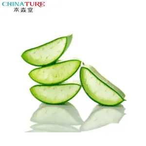 Các nhà sản xuất trực tiếp cung cấp mỹ phẩm và chăm sóc da nguyên liệu chiết xuất CURACAO Aloe Vera chiết xuất chất lỏng