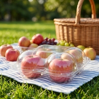 Transparante PP wegwerpbaar aanpasbare fruit clamshell doosje met scharnierend deksel en reliëf voor supermarktpromotie Minxing merk