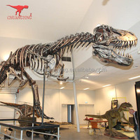 Exposition de musée en fibre de verre taille réelle os de rapace dinosaure squelette sculpture réplique modèle décoration puzzles