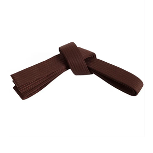 Conjunto <span class=keywords><strong>de</strong></span> Cinturones <span class=keywords><strong>de</strong></span> Artes Marciales, Sistema <span class=keywords><strong>de</strong></span> Cinturones <span class=keywords><strong>de</strong></span> Colores para Karate y Taekwondo, Proveedor - Product Image 3