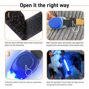 Benutzer definiertes Logo PVC Wasserdicht leuchtend Leuchten Haustier halsband Nachts icherheit Im Dunkeln leuchten LED-Hunde halsband - Product Image 4