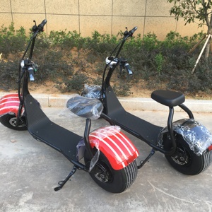 Scooter électrique Citycoco de marque chinoise, neuf, 250 <span class=keywords><strong>watts</strong></span>, avec double siège, batterie lithium 20ah, vélos électriques - Product Image 3