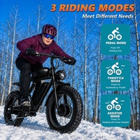 Kit de conversion de vélo électrique à double moteur et pneus larges, 20, 24 ou 26 pouces, 250W-3000W, avec écran LCD