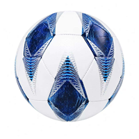Lot de 25 ballons de sport personnalisables, durables, pour entraînement intérieur/extérieur, idéal pour académies, lycées, équipes universitaires et clubs.