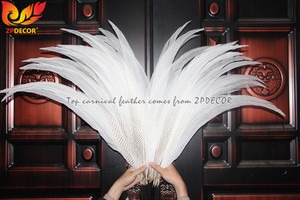 Qibest — plumes de queue de faisan argent blanc, 70-75 cm, fournitures d'usine, pour Costumes de carnaval, vente en gros - Product Image 2