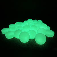 Puck de hockey sur glace lumineux personnalisé avec logo pour les sports de glace, brille dans le noir