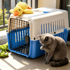 Cage de transport pour animaux de compagnie tendance, couleur assortie, coque rigide, surface anti-rayures, pour voyages en <span class=keywords><strong>avion</strong></span> - Product Image 1