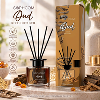 Diffuseur de parfum élégant sans flamme de 120 ml avec bouteille en verre transparent pour la décoration de la chambre, de la salle de bain et du salon