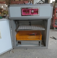 Incubateur d'œufs automatique industriel avec une capacité de 2000 œufs de poulet, 1500 œufs de canard, 5000 œufs de caille
