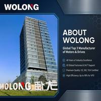 Variateur de fréquence WOLONG triphasé 380V-480V 0,75kW~22kW VFD avec contrôle vectoriel IP20 pour moteurs AC
