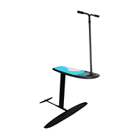 Planche à Hydrofoil Tout-en-un Légère en Carbone avec Poignée, Planche de Saut Pratique, En Stock – Offre Spéciale