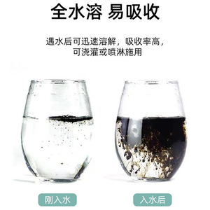 Soil Activator Mineral Derived Potassium Humate 200g Loosens Soil Promotes Root Growth Plant Fertilizer - Product Image 5