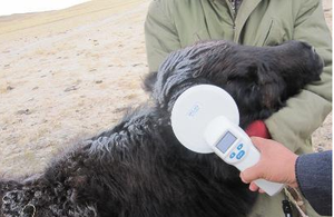 S03 휴대용 FDX-B 134.2KHz USB LF 핸드헬드 동물 태그 리더/스캐너 - Product Image 4