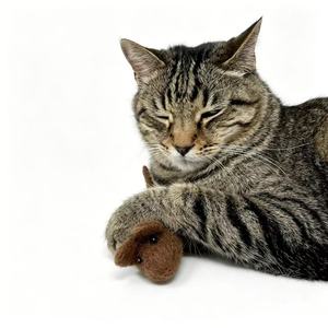 Giocattolo per Gatti in Feltro <span class=keywords><strong>di</strong></span> Lana 100% Naturale della Nuova Zelanda, Fatto a Mano, Ecologico, Riempito con Erba Gatta Naturale, Interattivo e Resistente ai Morsi - Product Image 6