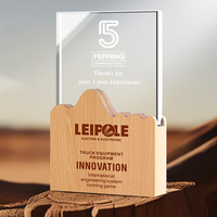 Trophée en bois et cristal personnalisé avec logo, idéal pour les souvenirs, vente en gros