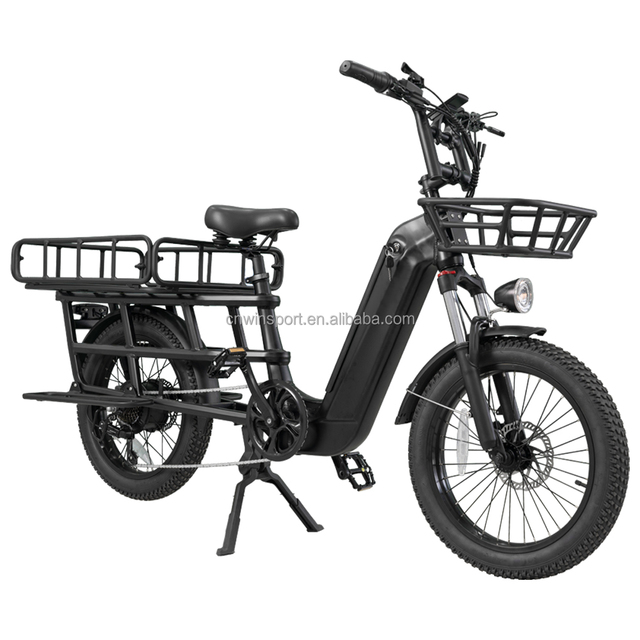 Electric Cargo Bike with 20*3.0 Inch Aluminum Frame 48v 500w Electric City Bike Disc Brake System Lithium Battery Motor