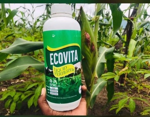 Paquete Económico de Fertilizante Líquido Mineral Premium EcoVita Organa0 con Absorción de Nutrientes Optimizada - Product Image 5